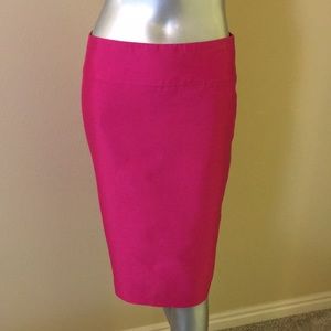 TALBOTS | Hot Pink Pencil Skirt Silk Blend